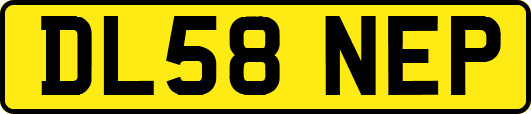 DL58NEP