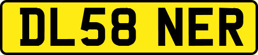 DL58NER