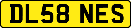 DL58NES