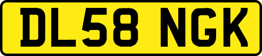 DL58NGK