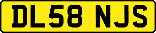 DL58NJS