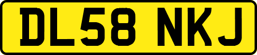 DL58NKJ