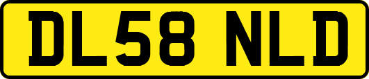 DL58NLD