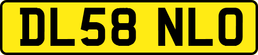 DL58NLO