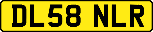 DL58NLR