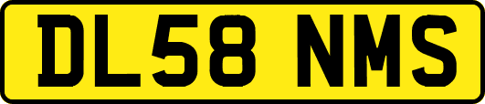 DL58NMS