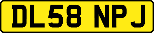 DL58NPJ