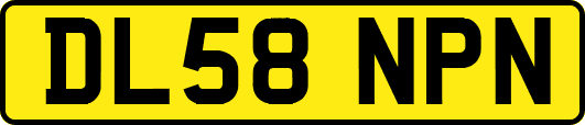 DL58NPN