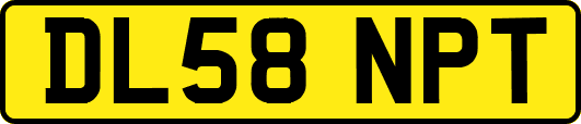 DL58NPT