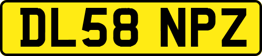 DL58NPZ