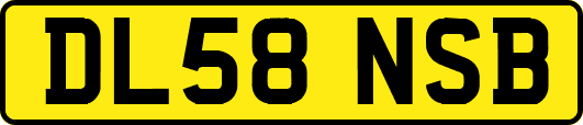 DL58NSB