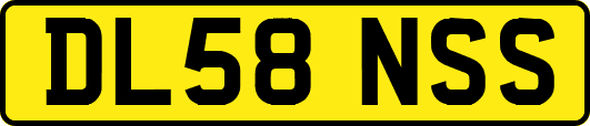 DL58NSS