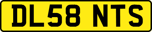 DL58NTS