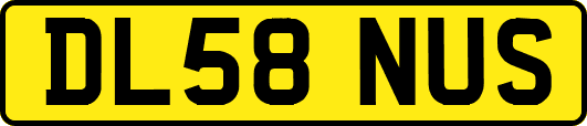 DL58NUS