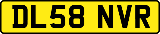 DL58NVR