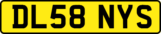 DL58NYS