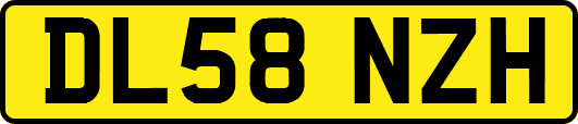 DL58NZH