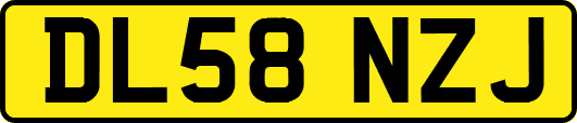 DL58NZJ