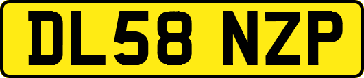 DL58NZP