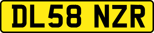 DL58NZR