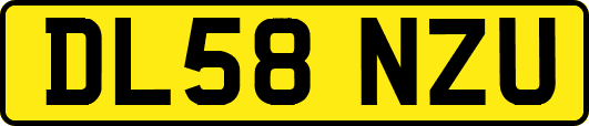 DL58NZU
