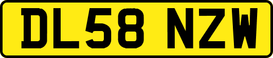 DL58NZW