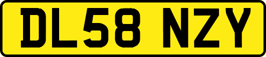 DL58NZY