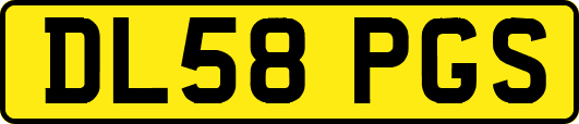 DL58PGS