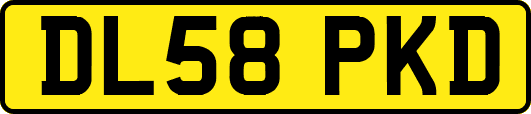 DL58PKD