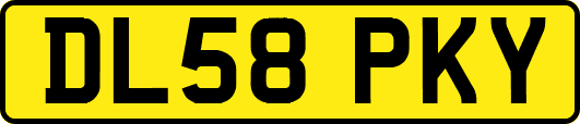 DL58PKY