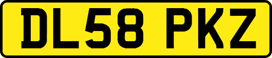 DL58PKZ