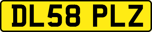 DL58PLZ