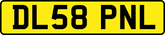 DL58PNL