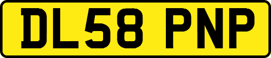 DL58PNP