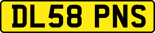 DL58PNS