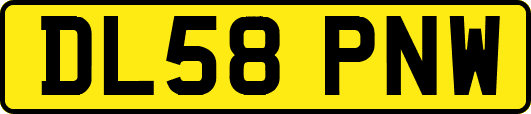 DL58PNW