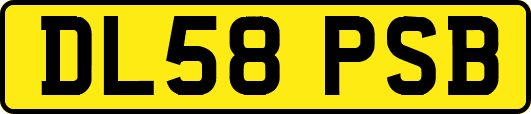 DL58PSB
