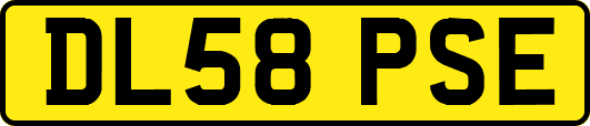 DL58PSE