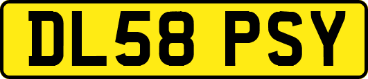 DL58PSY