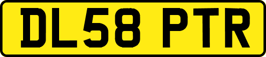 DL58PTR