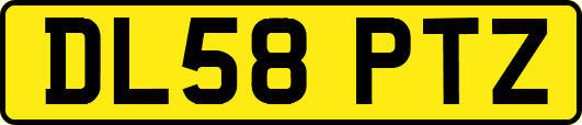 DL58PTZ