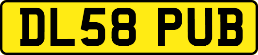 DL58PUB