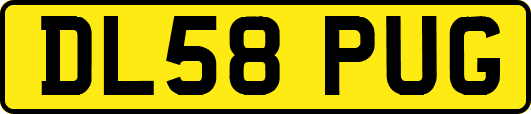 DL58PUG
