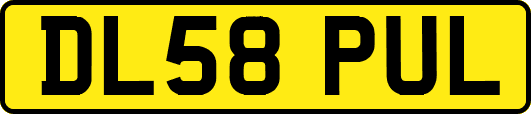 DL58PUL