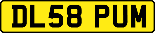 DL58PUM