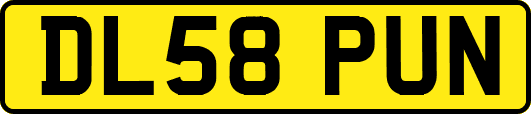 DL58PUN