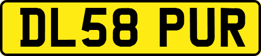 DL58PUR