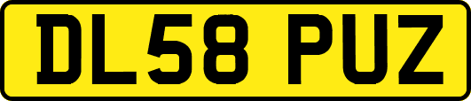 DL58PUZ