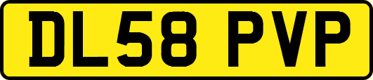 DL58PVP