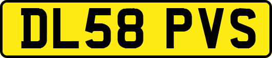 DL58PVS
